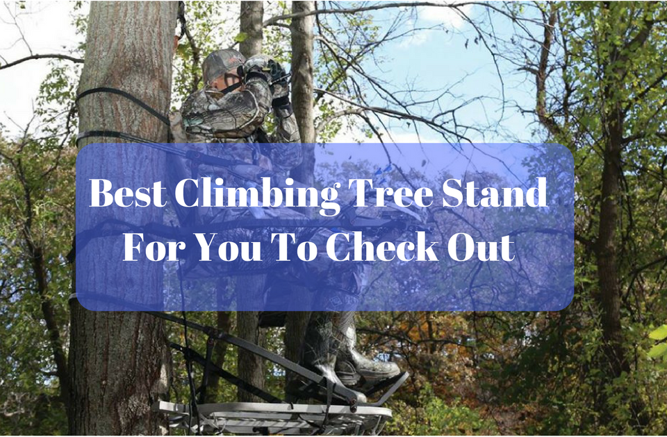 Best Climbing Tree Stand