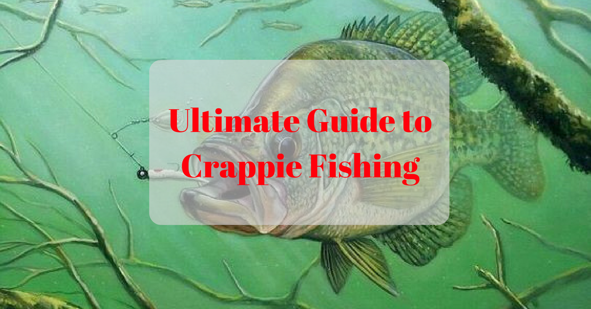 crappie fishing tips