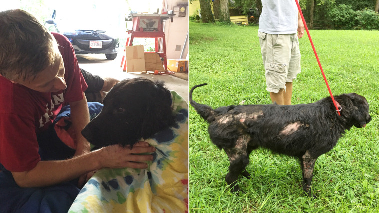 Edgar the dog was rescued after being stuck in a drainage ditch.